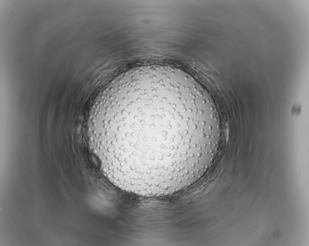 X0000091291059200708101021