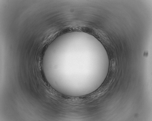 X0000091291060200708101021