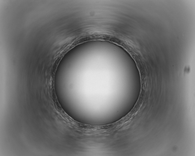 X0000091291061200708101021