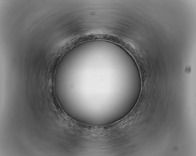 X0000091291062200708101021