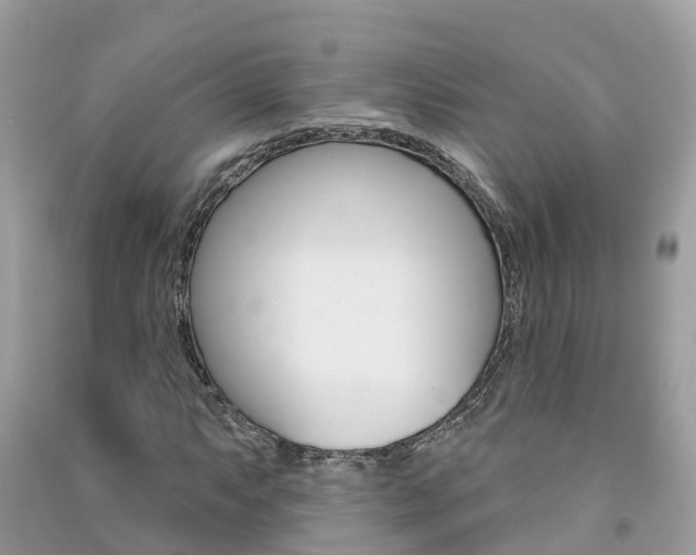 X0000091291063200708101021