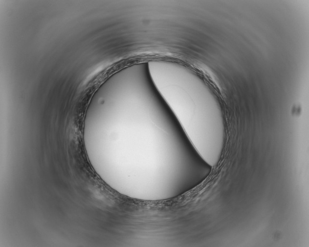 X0000091291064200708101021
