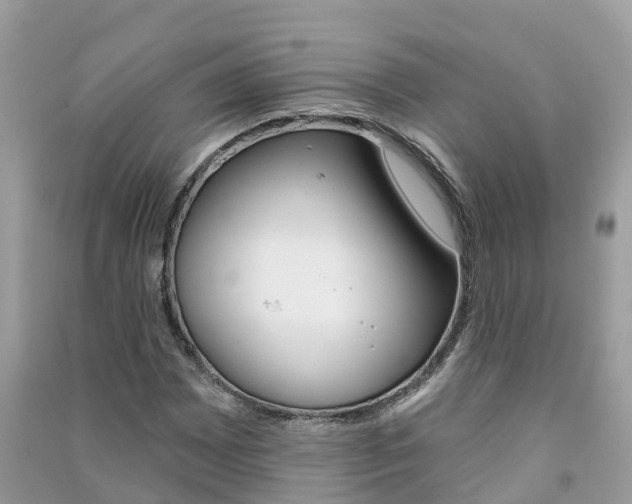 X0000091291065200708101021