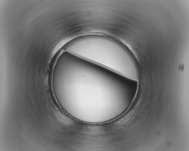 X0000091291066200708101021