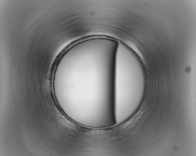 X0000091291068200708101021