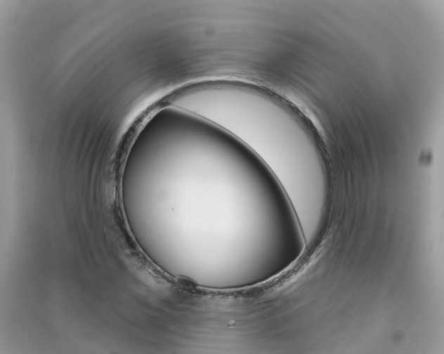 X0000091291069200708101021