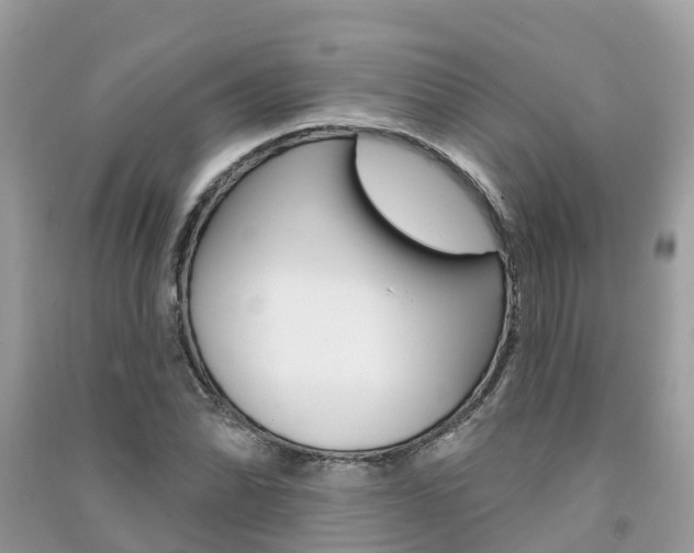 X0000091291070200708101021