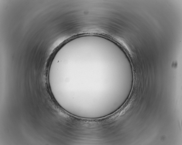 X0000091291071200708101021