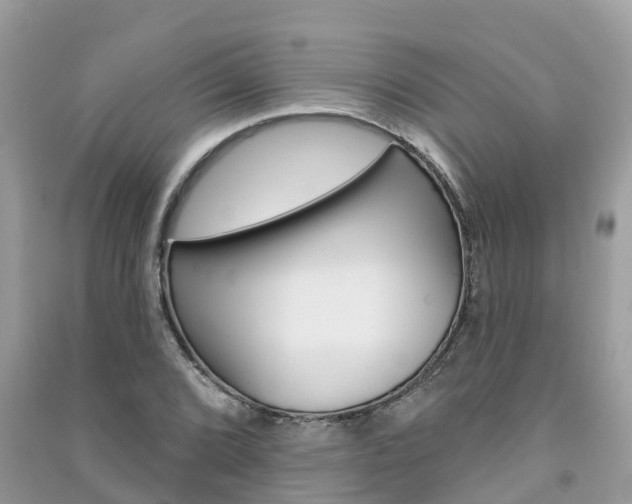 X0000091291072200708101021
