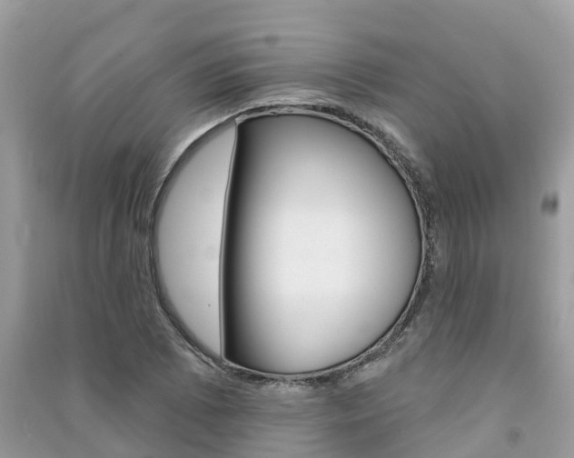 X0000091291073200708101021