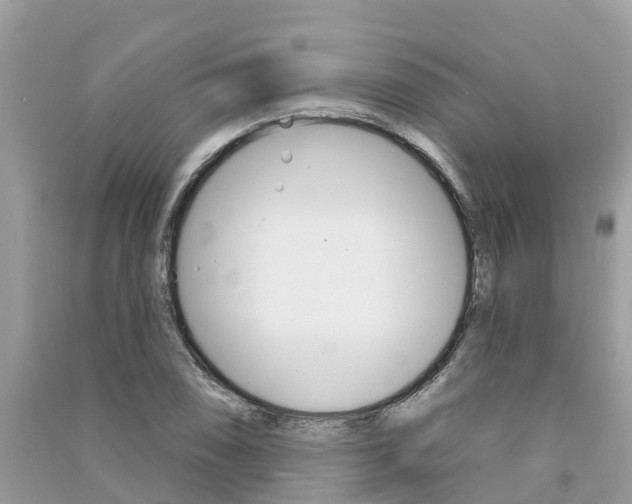X0000091291074200708101021