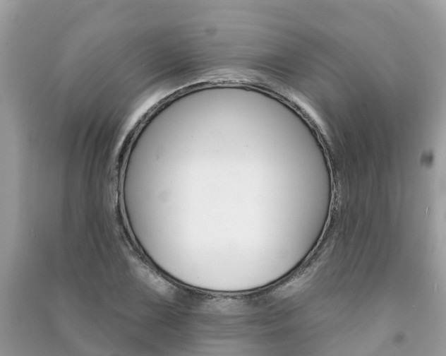 X0000091291075200708101021