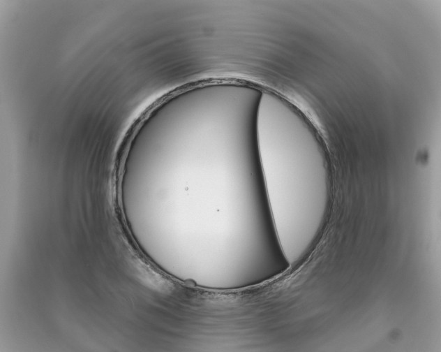 X0000091291076200708101021