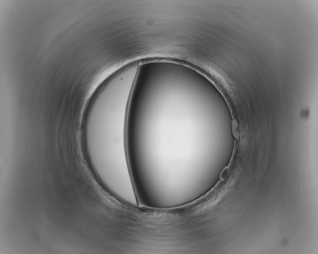 X0000091291077200708101021