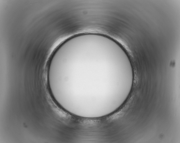 X0000091291078200708101021