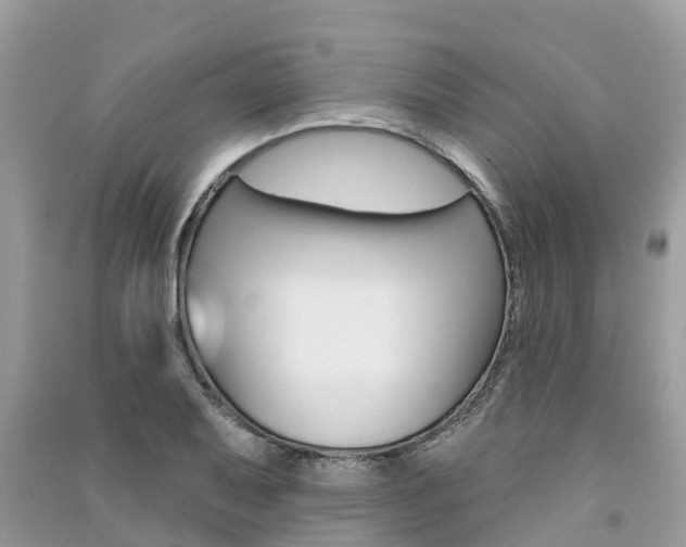 X0000091291079200708101021