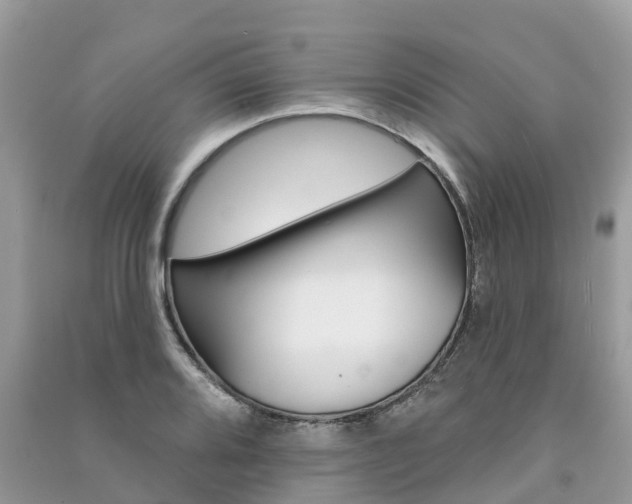 X0000091291080200708101021