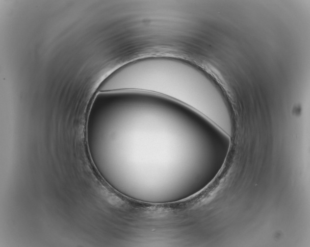 X0000091291081200708101021