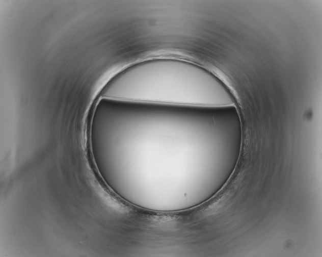 X0000091291082200708101021