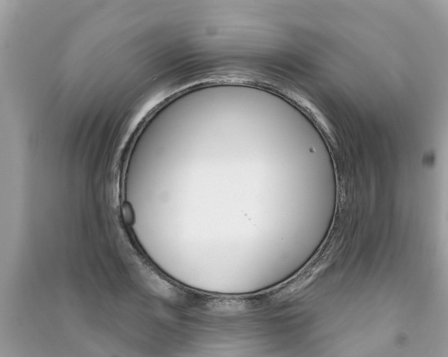 X0000091291083200708101021