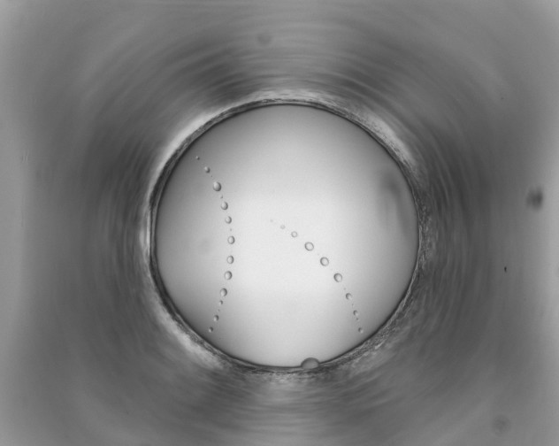 X0000091291084200708101021