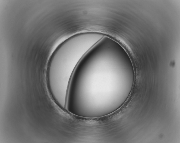 X0000091291085200708101021