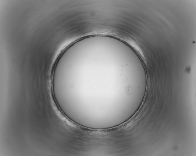 X0000091291088200708101021