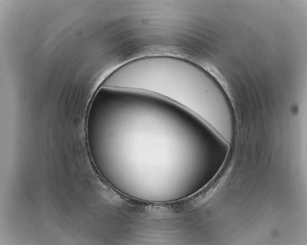 X0000091291089200708101021