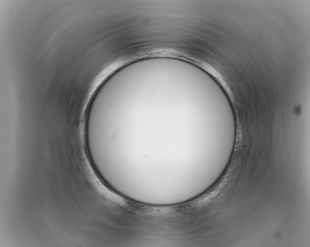 X0000091291090200708101021