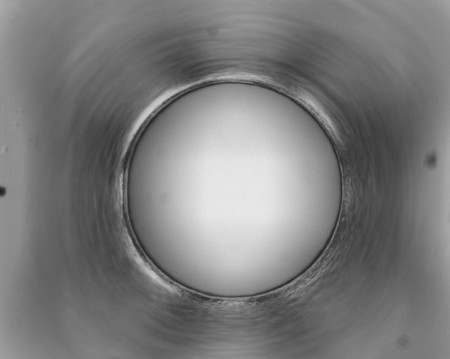 X0000091291092200708101021