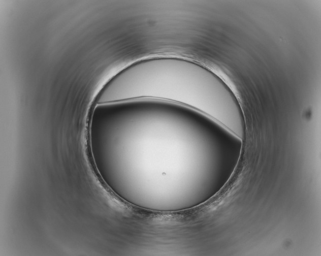 X0000091291093200708101021
