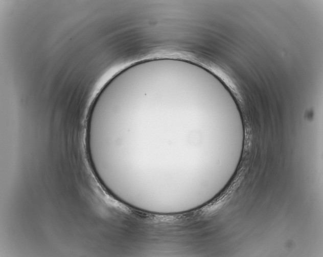 X0000091291094200708101021