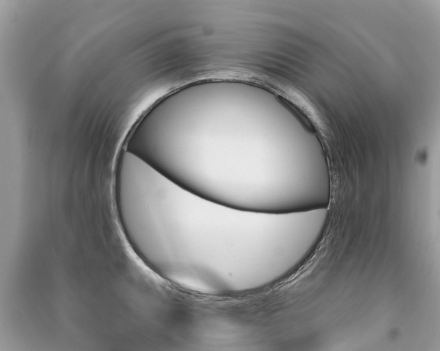X0000091291095200708101021