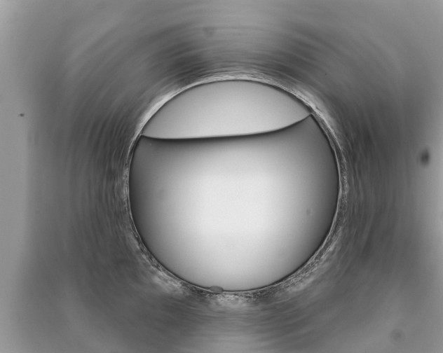 X0000091291097200708101021