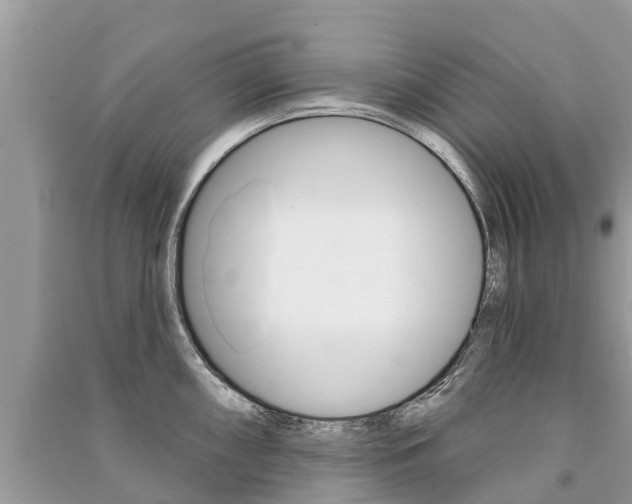 X0000091291098200708101021