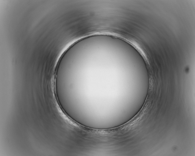 X0000091291100200708101021