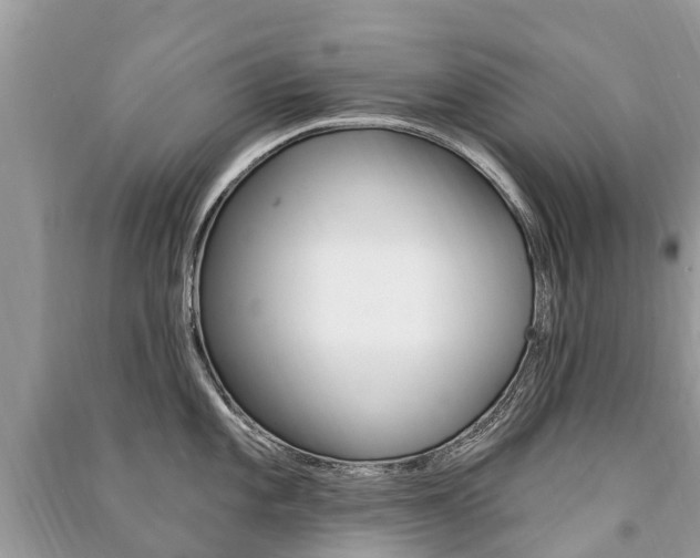 X0000091291101200708101021