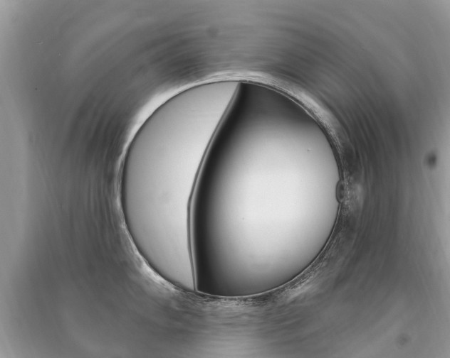 X0000091291102200708101021