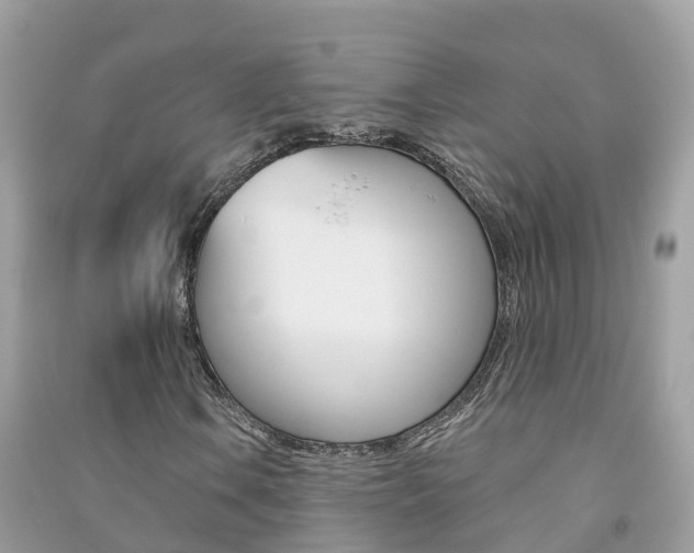 X0000091291106200708101020
