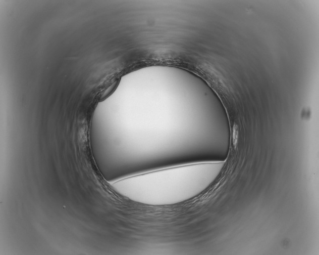 X0000091291107200708101020