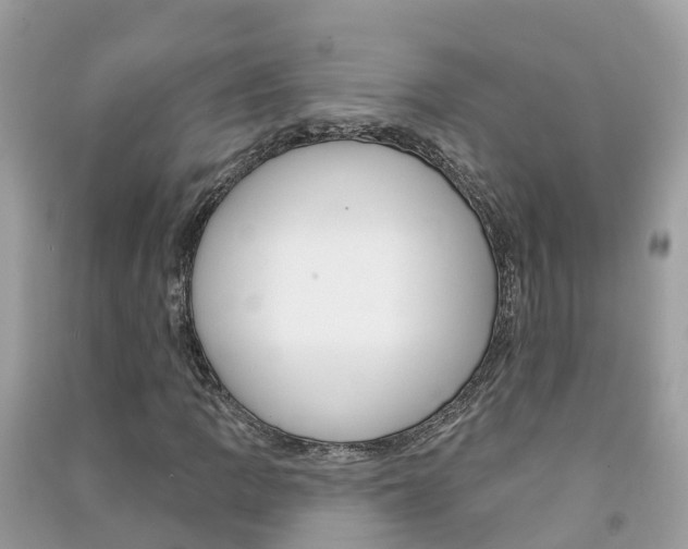 X0000091291109200708101020