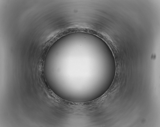 X0000091291110200708101020