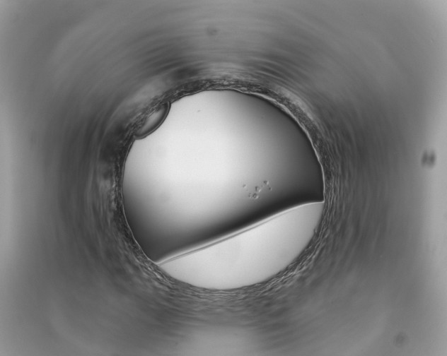 X0000091291111200708101020