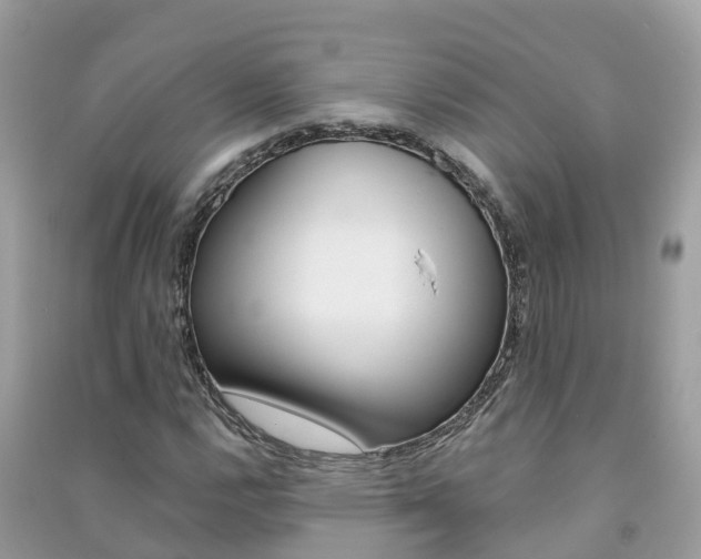 X0000091291112200708101020