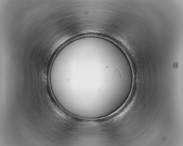 X0000091291113200708101020