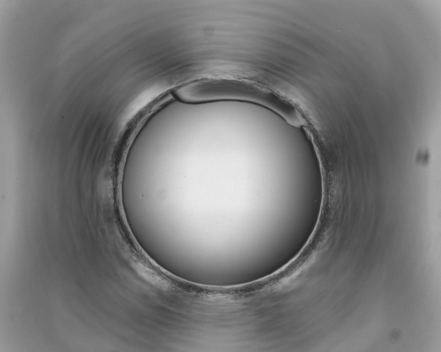 X0000091291114200708101020
