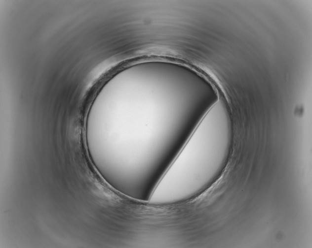 X0000091291115200708101020