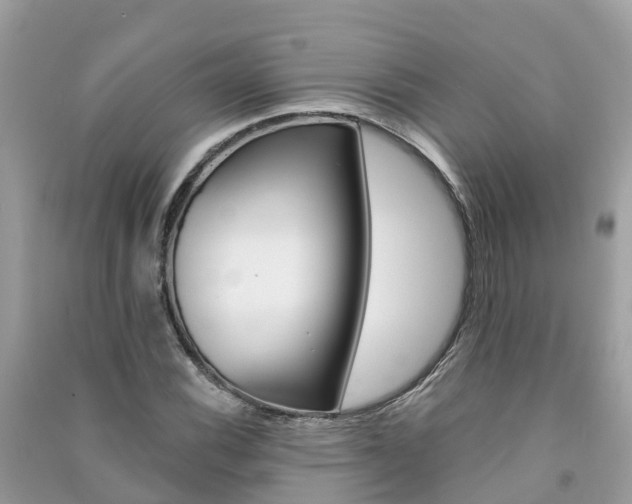 X0000091291116200708101020