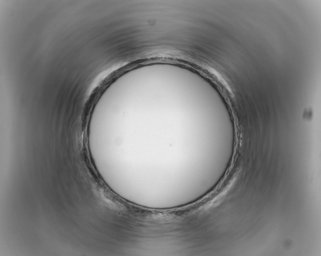 X0000091291117200708101020