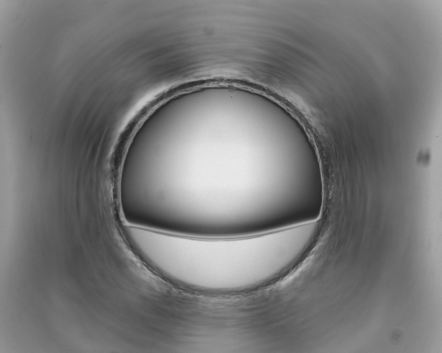 X0000091291118200708101020